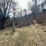 Links zum Start oder rechts zum Parkplatz