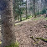 Trampelpfad zur Schneisse