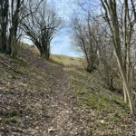 Ende des Weges links neben der Schneisse