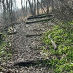 Stufen zum Parkplatz